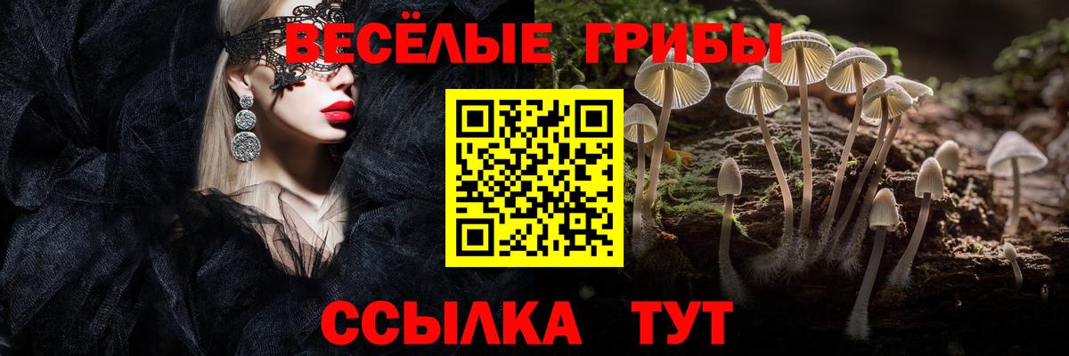 Галлюциногенные грибы ЛСД Борзя