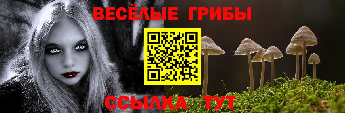 Борзя  Псилоцибиновые грибы Cubensis  купить наркотик  Вход с VPN 